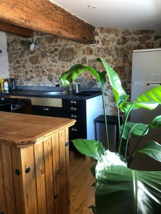 Le Loft Cosy - Centre Ville - Cadre Royal Sète Exteriör bild